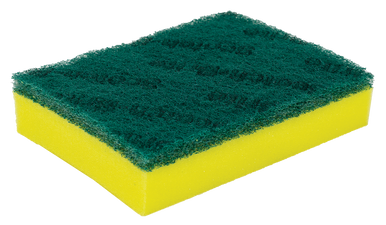 Scouring Sponges
