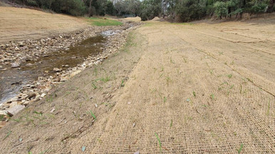 Coir Mesh 900gsm 2x25m