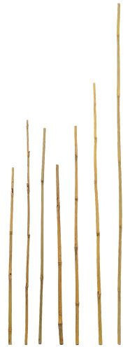 Bamboo stakes for landscaping