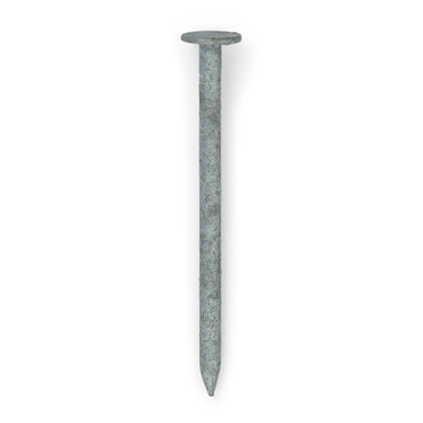 Clout Nails Galvanised 5kg 50x2.80 single view