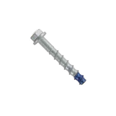 Blue Tip Screw Bolt Galvanised 16x100mm 10 Pack