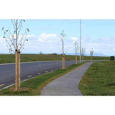 GEOmasta Hardwood Tree Stake | Jaybro