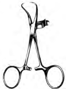 Product Spectrum Backhaus Towel Forcep, 4.5" (11cm), W/ Clip | SAH.60-2235 Image