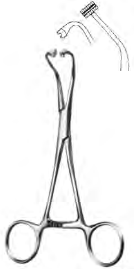 Product Spectrum Peers Towel Forcep, 5.75" | SAH.60-5201 Image