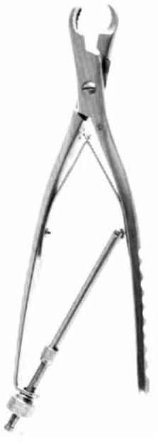 Product Vet Spectrum Ulrich Bone Holding Forcep, 10" (25cm), Straight, Speedlock | SAH.701781 Image