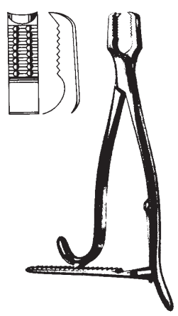 Product Spectrum Kern Bone Holding Forceps, 4.5" (11cm), With Ratchet | SAH.703757 Image