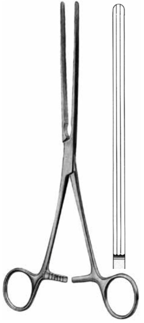 Product Vet Spectrum Kocher Intestinal Forcep, 11" (28cm), Straight, Longitudinal Serrations | SAH.704413 Image