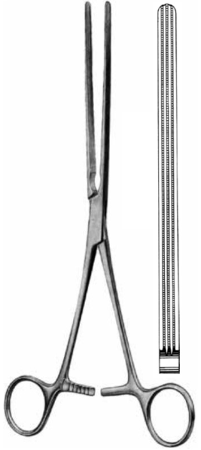 Product Vet Spectrum Kocher Intestinal Forcep, 10" (25cm), Straight, Atraumatic Jaws | SAH.704419 Image