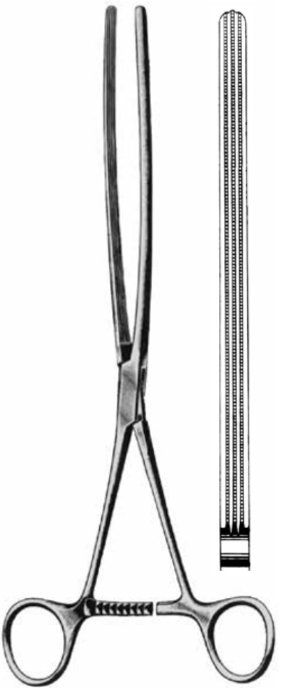 Product Vet Spectrum Mayo-Robson Intestinal Clamp Forcep, 10" (25cm), Straight, Atraumatic Jaws | SAH.704423 Image