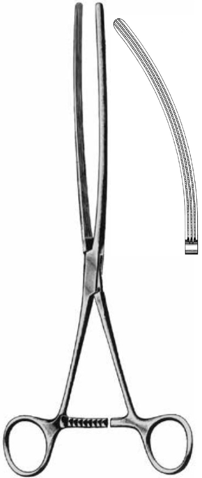 Product Vet Spectrum Mayo-Robson Intestinal Clamp Forcep, 10" (25cm), Curved, Atraumatic Jaws | SAH.704424 Image