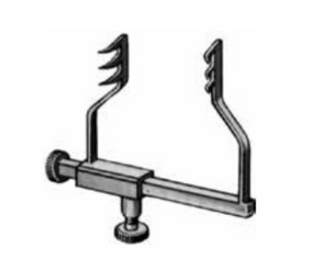 Product Vet Spectrum Goldstein Eye Speculum, 1.25" (3cm) | SAH.732003 Image