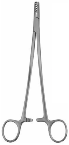 Product Vet Spectrum Martin Cartilage Seizing Forcep, 8" (20cm), Toothed Jaws | SAH.741005 Image