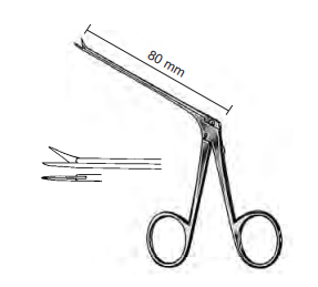Product Spectrum Bellucci Ear Scissor, 80mm Shaft Length, Straight, Micro Standard 5.5mm Tip | SAH.770001 Image