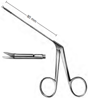 Product Spectrum Wullstein Ear Scissor, 80mm Shaft Length, Straight, Tubular Shaft | SAH.770007 Image