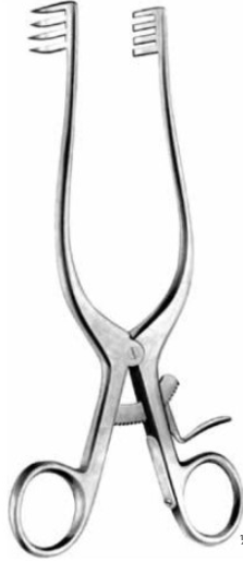 Product Vet Spectrum Adson Retractor, 8" (20cm), 4x4 Prongs, Blunt | SAH.781024 Image