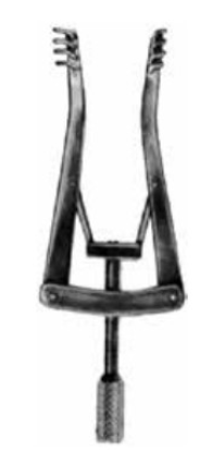 Product Vet Spectrum Alm Retractor, 4" (10cm), 4x4 Prongs, Blunt, W Turn Lock | SAH.781039 Image