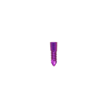 Product KYON THR 2.0mm Mini Stem Screw | 01.46.07 Image