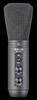 TASCAM TM-250U USB Condenser Microphone