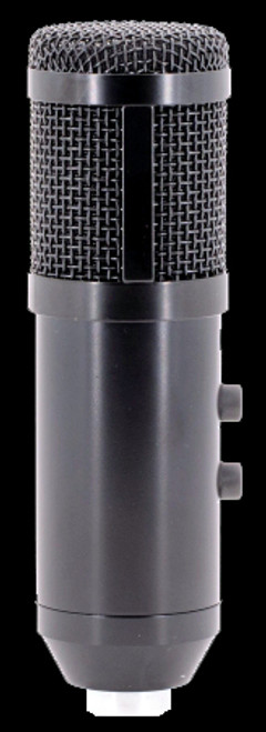 CAD U49 USB Large Format Side Address Studio Microphone w/ Headphone Monitor / Echo