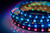 Elation Pixel Tape 16IP IP65 Outdoor Rated Flexible LED Pixel Tape