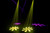 Eliminator Lighting Stinger Spot 30 — Mini LED Moving Head