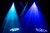 Eliminator Lighting Stinger Spot 30 — Mini LED Moving Head