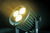 Outpost Ranger RGBALC - High-Performance LED Lighting Solution