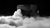 Genesis Low-Lying Fog Generator – High Output Ground Fog Machine 
