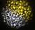 Aqua LED II Water Effect Light