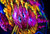 DarkFX UV Wash 2000IP IP65 UV Black Light Flood - Ultimate UV Lighting