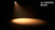 ADJ PAR Z Move WW LED Moving Head Beam Par Light