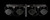 ADJ Starbar Wash LED Par Can Light Bar System