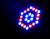 Eliminator LP 42 RGBW LED Par Can Light