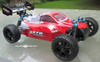 RC Car /.Buggy  Electric 1/10 Scale  2.4G 4WD  RTR  10750