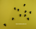 3x4mm Metal Screw (10pcs) 