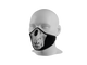 Anti-Dust Face Mask - Bear Skull