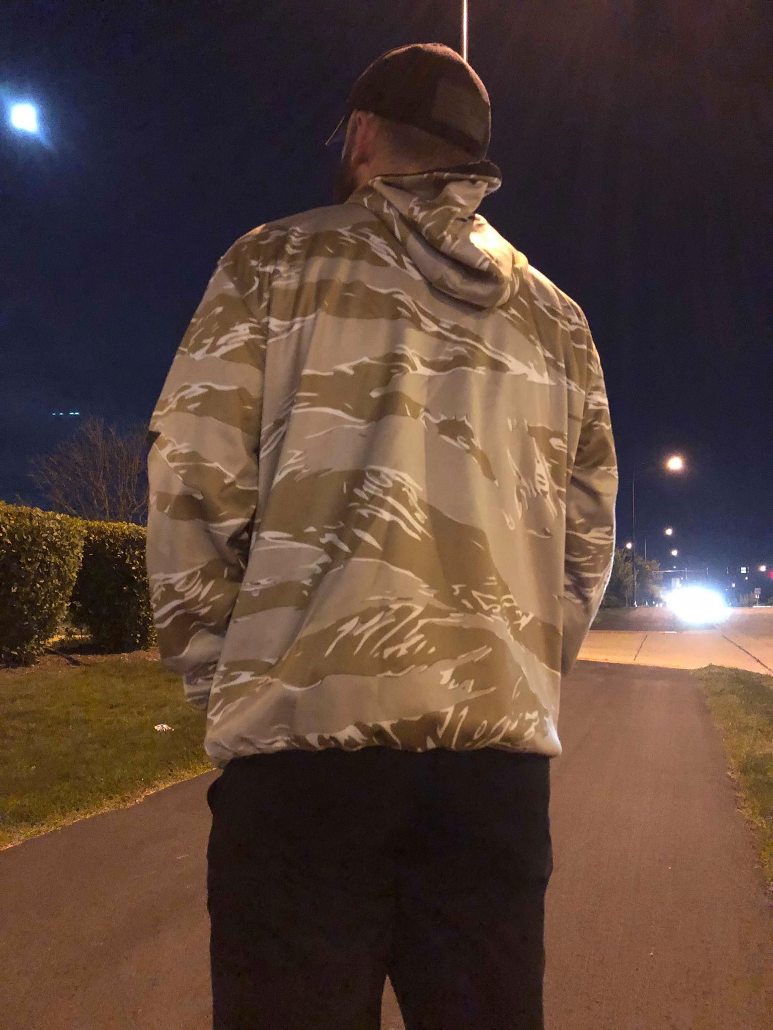 Desert Tiger Hoodie - Main Image