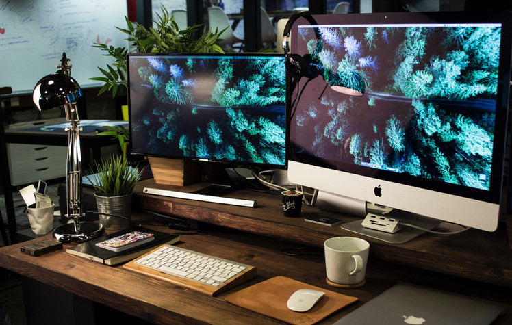 Lobortis scelerisque de