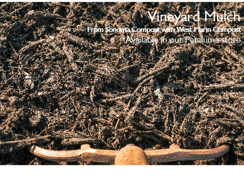 Plant Catalog Bulk Soils & Mulches Devil Mountain Wholesale Nursery