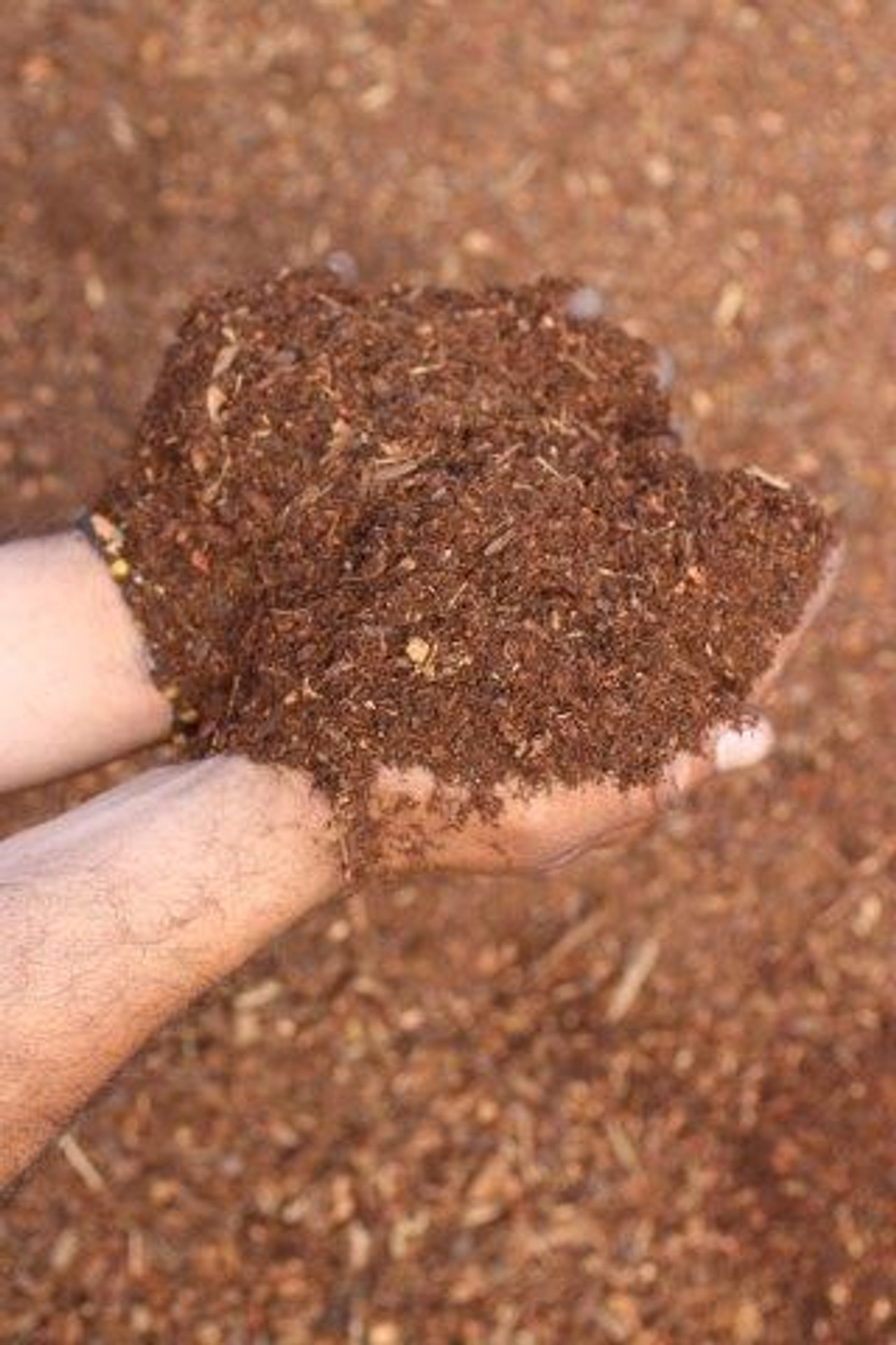 Plant Catalog Bulk Soils & Mulches Devil Mountain Wholesale Nursery