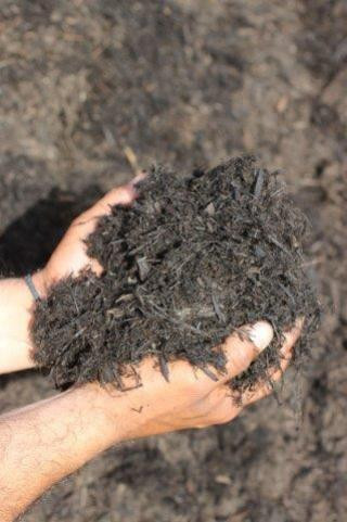 Plant Catalog Bulk Soils & Mulches Devil Mountain Wholesale Nursery