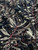 Leucadendron 'Ebony' leaf close up