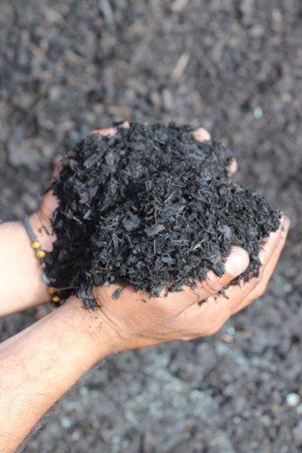 Plant Catalog Bulk Soils & Mulches Devil Mountain Wholesale Nursery