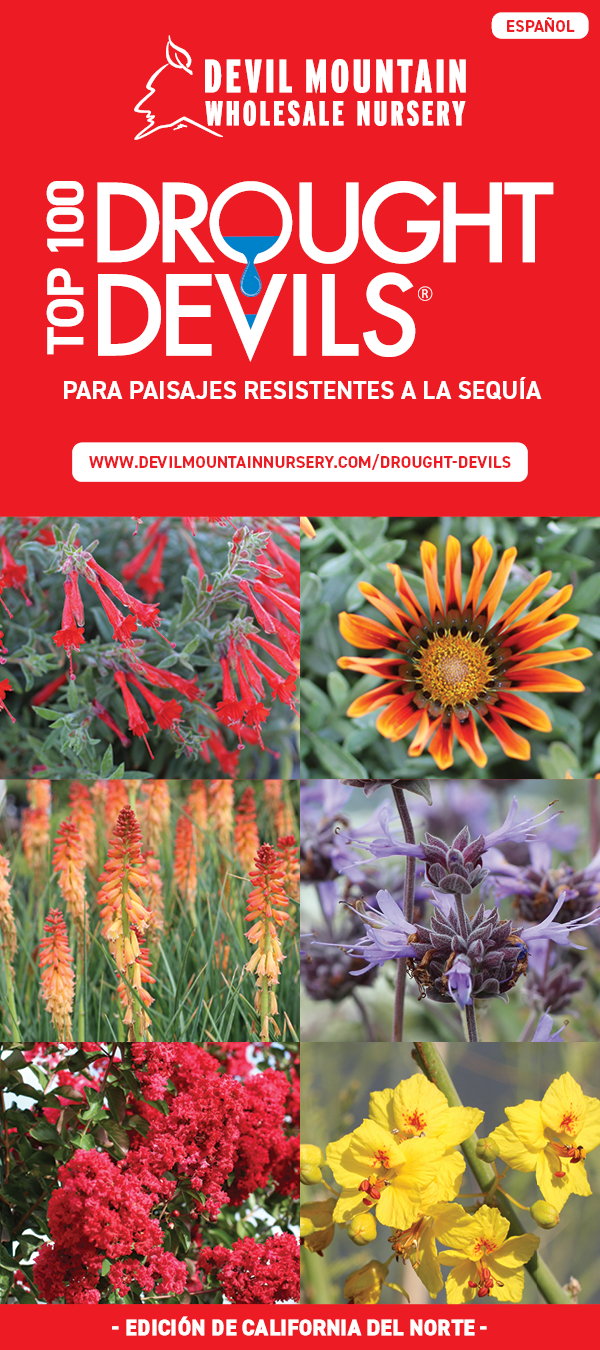 Top 100 Drought Devils® Español - Northern CA