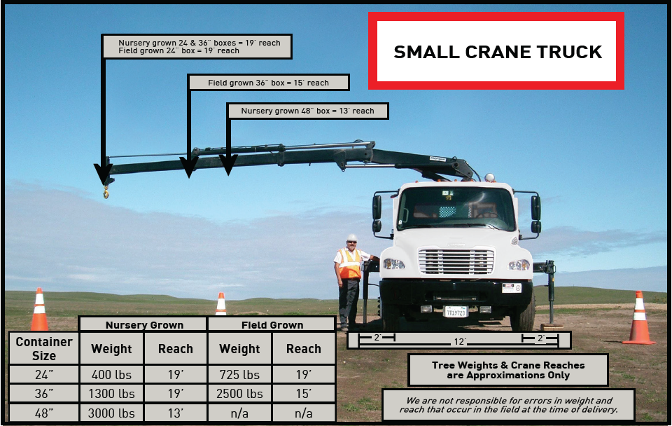 small-crane-w-specs.png