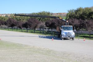 Crane Truck Service