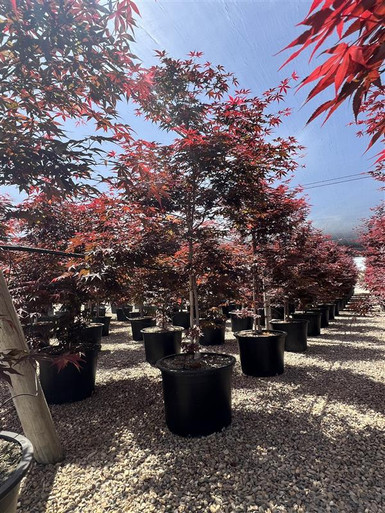 1bfd7066-98dc-4588-8f7b-