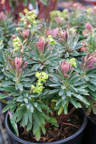 media__02425.1678812716.386.