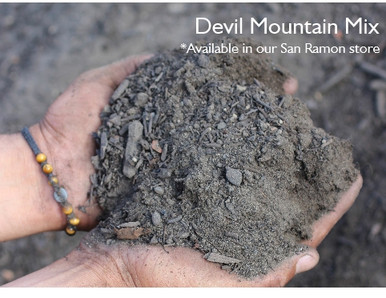 Devil Mountain Mix Bulk - Devil Mountain Wholesale Nursery