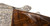 Krieghoff Custom Scroll by Nonn K-80 Receiver & Iron ONLY - 116222R [Pre-Owned]